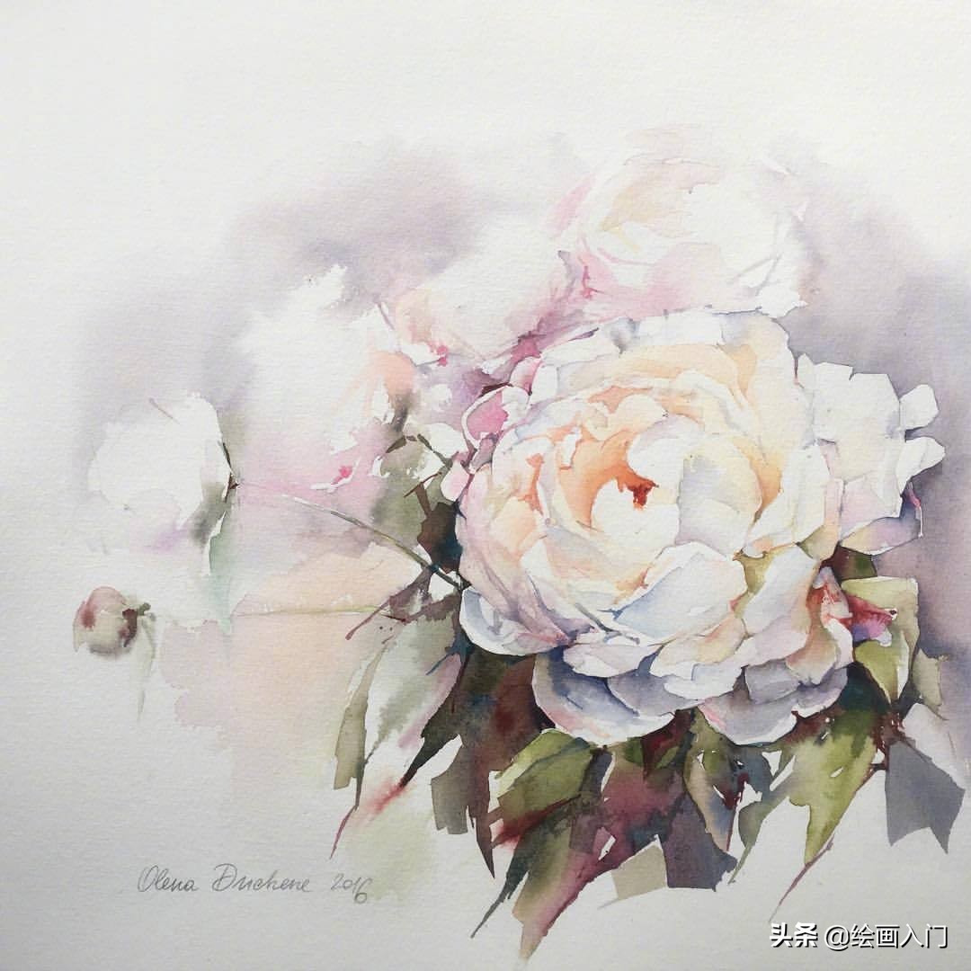 唯美写意水彩花卉,各种水彩花卉的表现技法学习吧