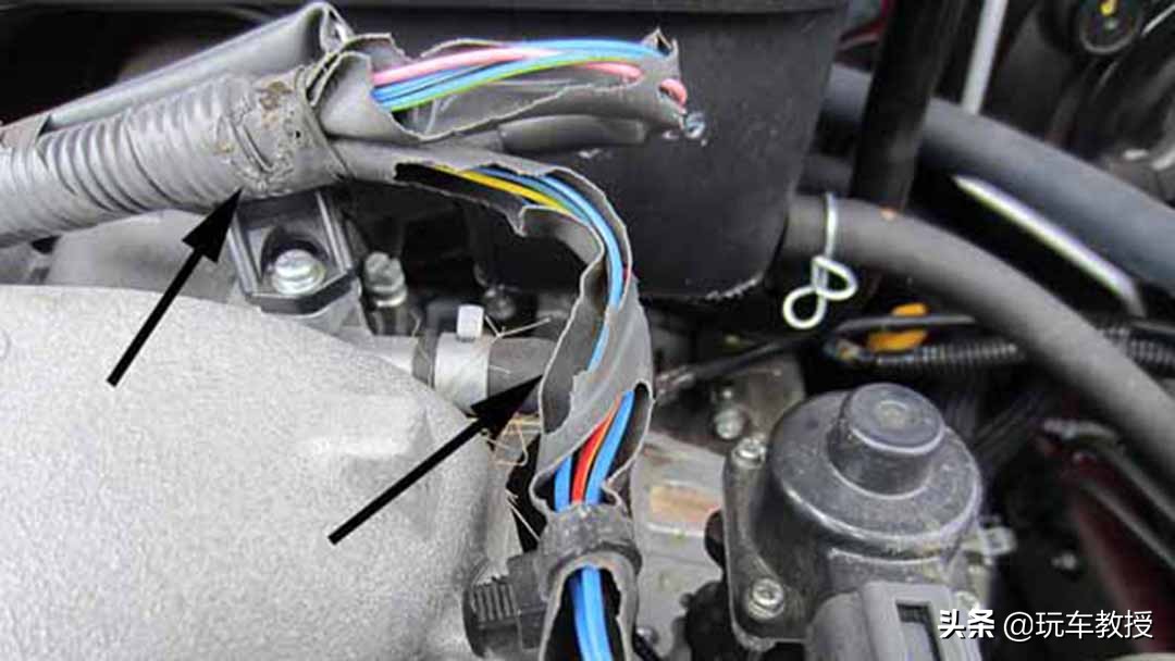 老鼠能钻进汽车驾驶室吗,如果老鼠进家里要怎么办