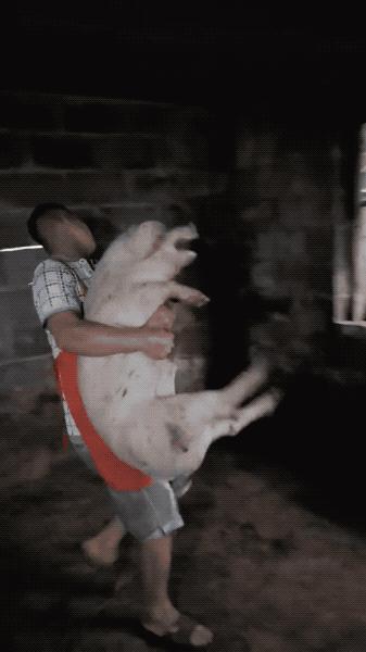 不想被骗就在网上多查资料,不想被骗的网站有哪些