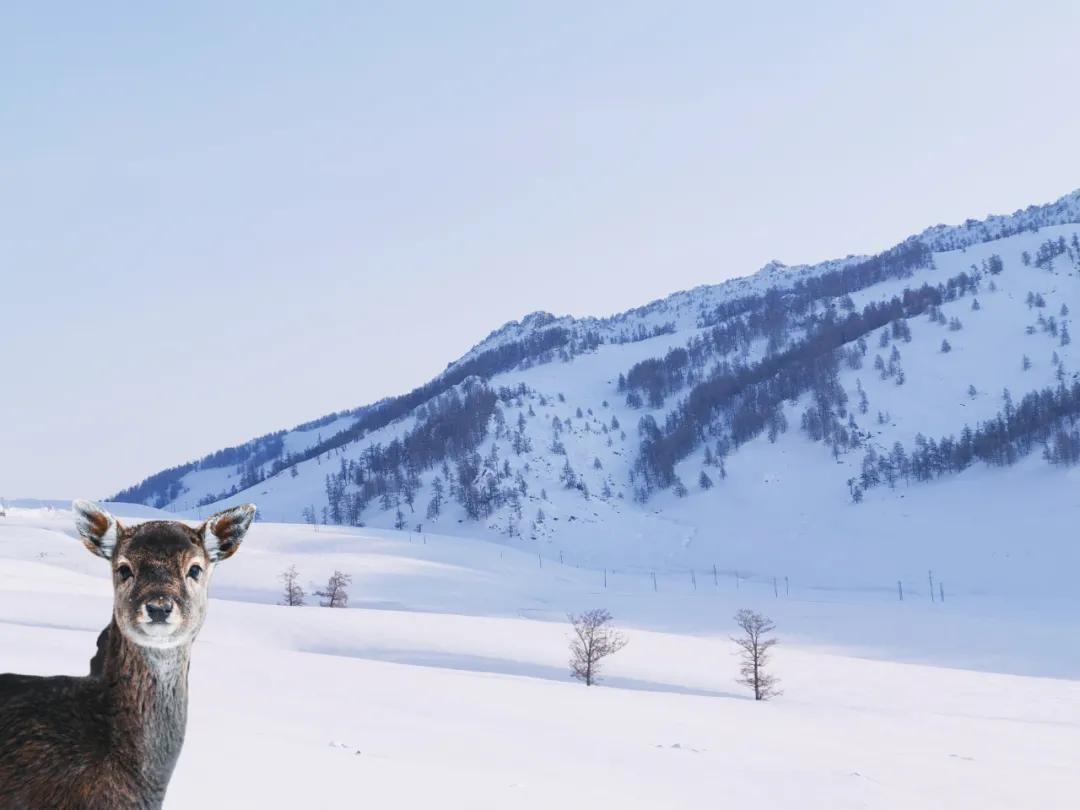 醒图appp图教程,好用的修图app教程