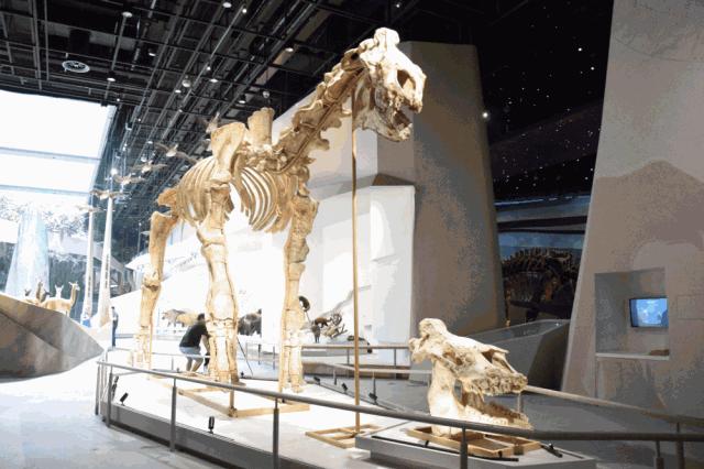 武汉攻略地铁,武汉高铁游最强攻略