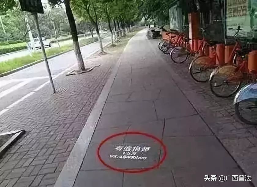 拜金的代价知乎,拜金的代价