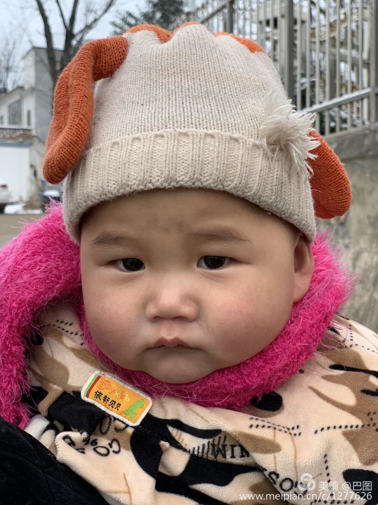 金色童年8张图片,金色的童年相片