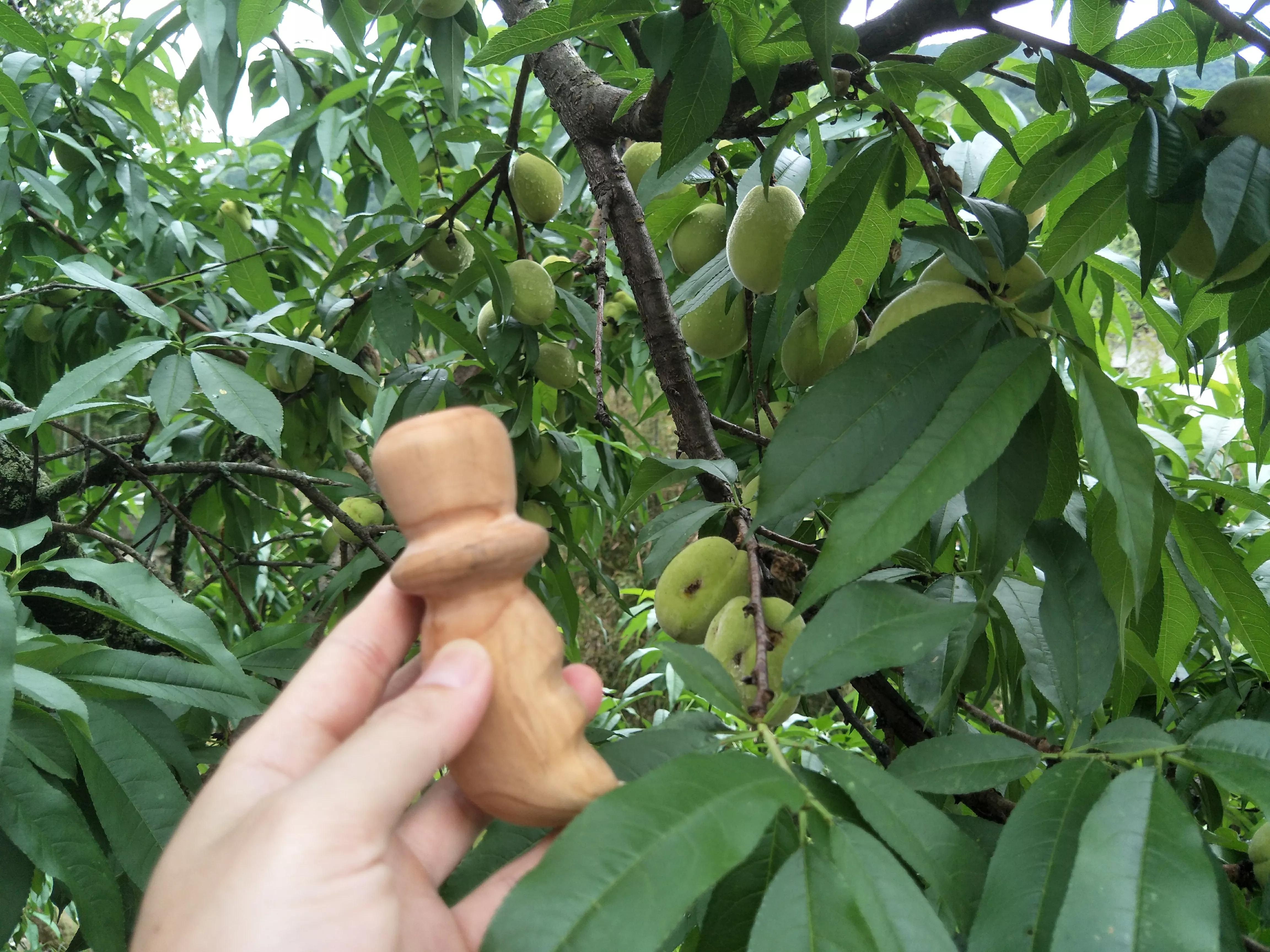 q版桃木剑图片,q版桃木剑脚链