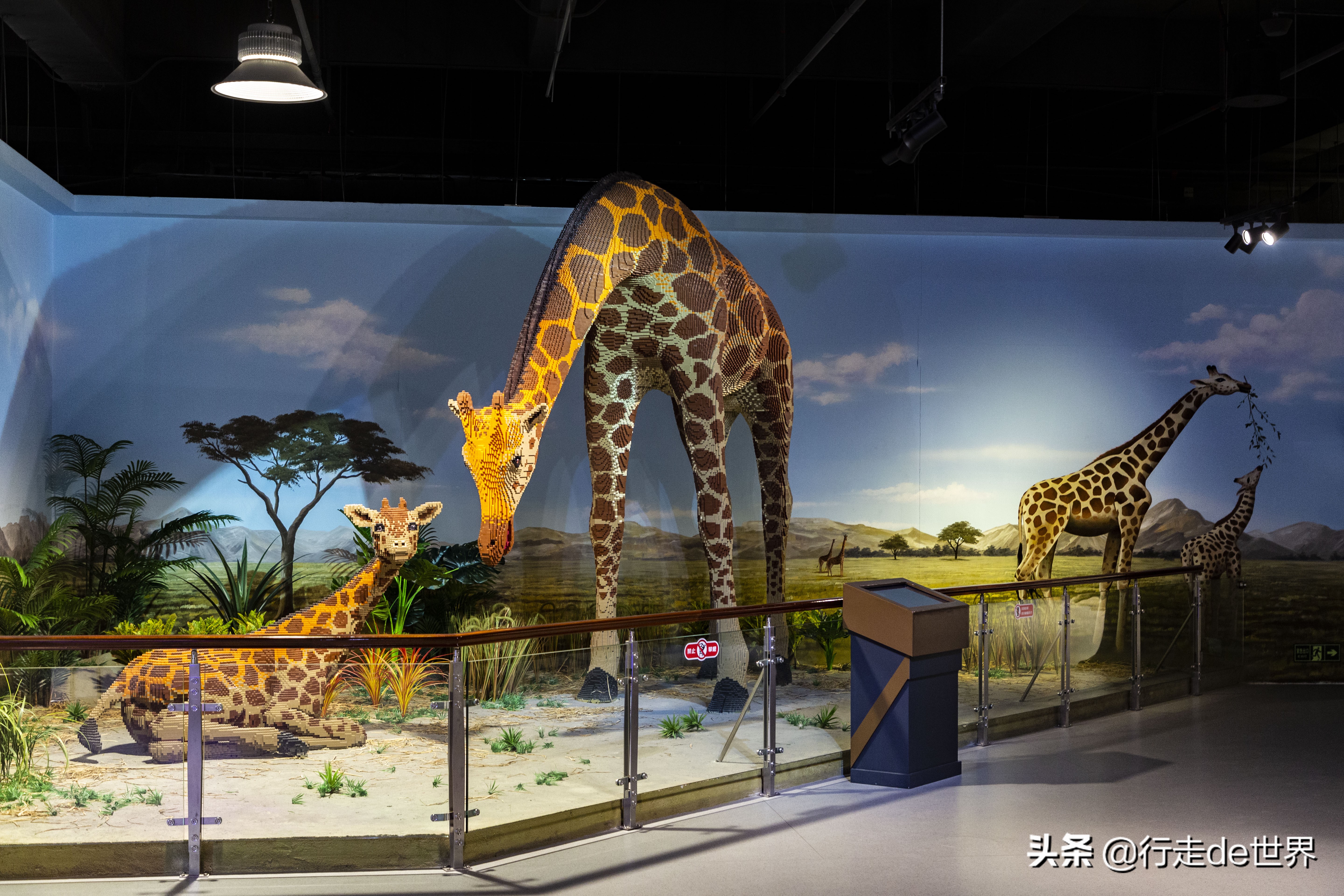 亲子乐园深圳户外,深圳最火爆的亲子乐园