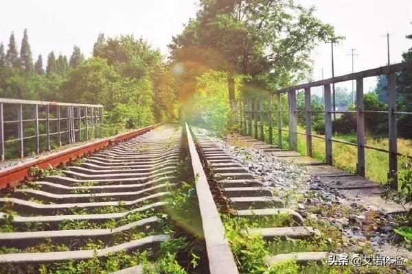 合肥景区免费景点,合肥旅游景点大全免费玩