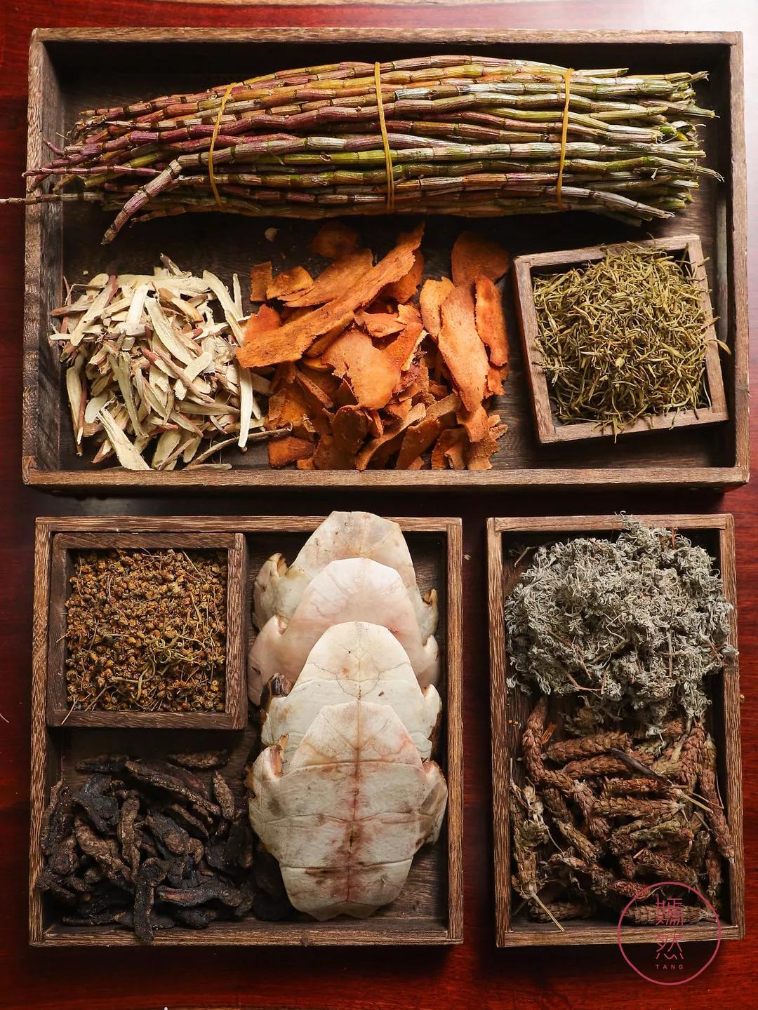 龟苓膏真假对比,真龟壳的龟苓膏