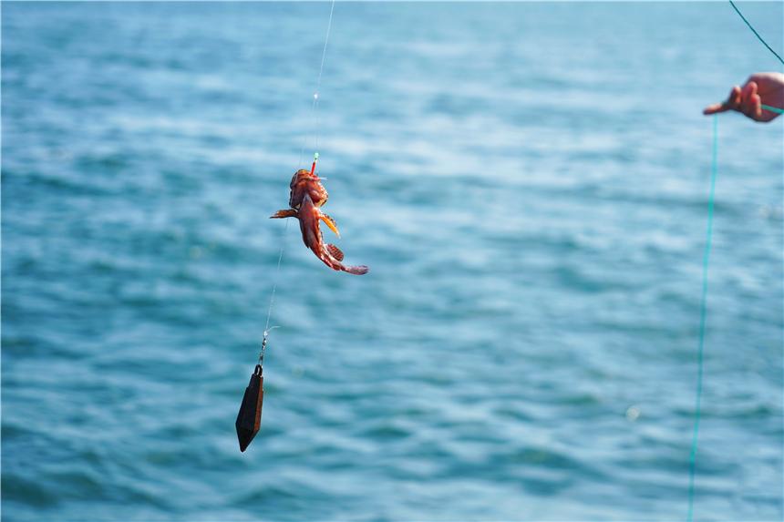 嵊泗旅游美食攻略,嵊泗攻略3天2夜美食推荐