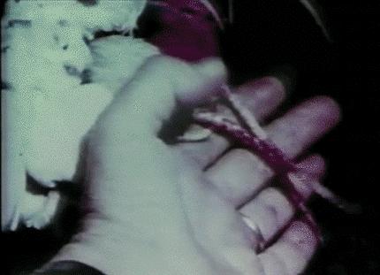 性冷淡性变态！性萧条时代来临！这场暗黑实验，解释社会矛盾