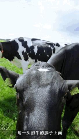 濂剁矇婧簮,濂剁矇婧簮涔嬫梾