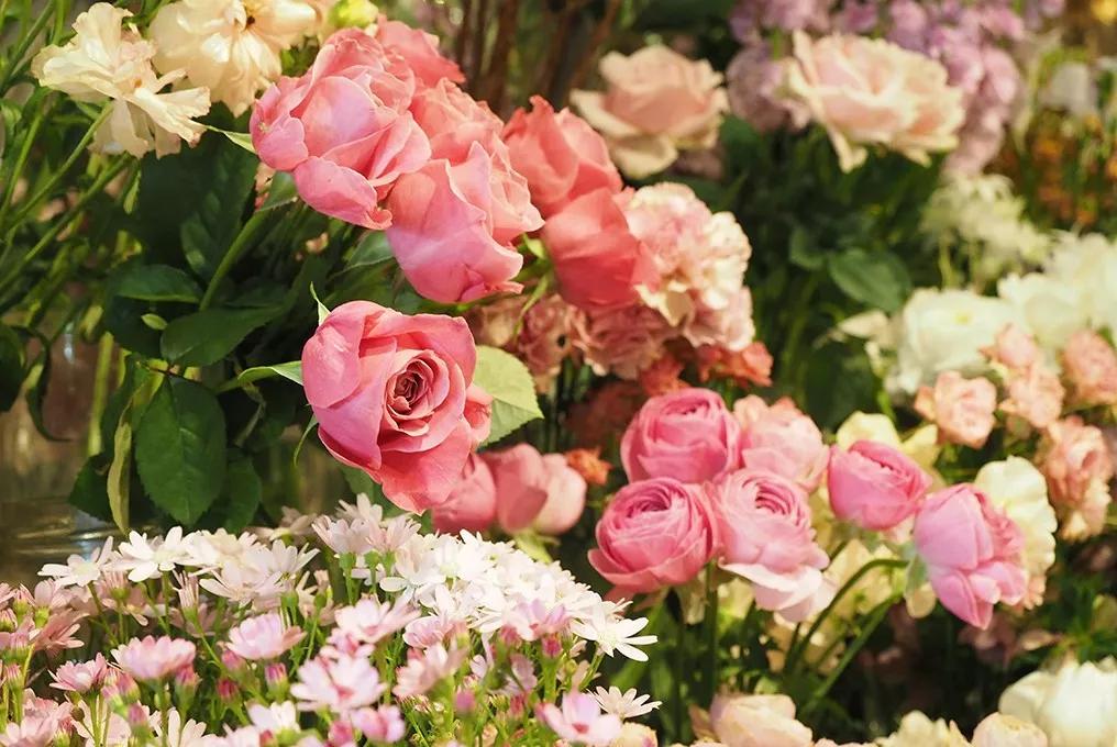 日本青山花店,日本花店推荐