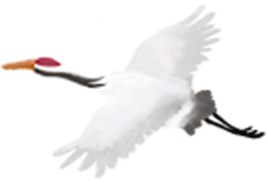 青芽甘露：一杯竹叶青，尽显君子情