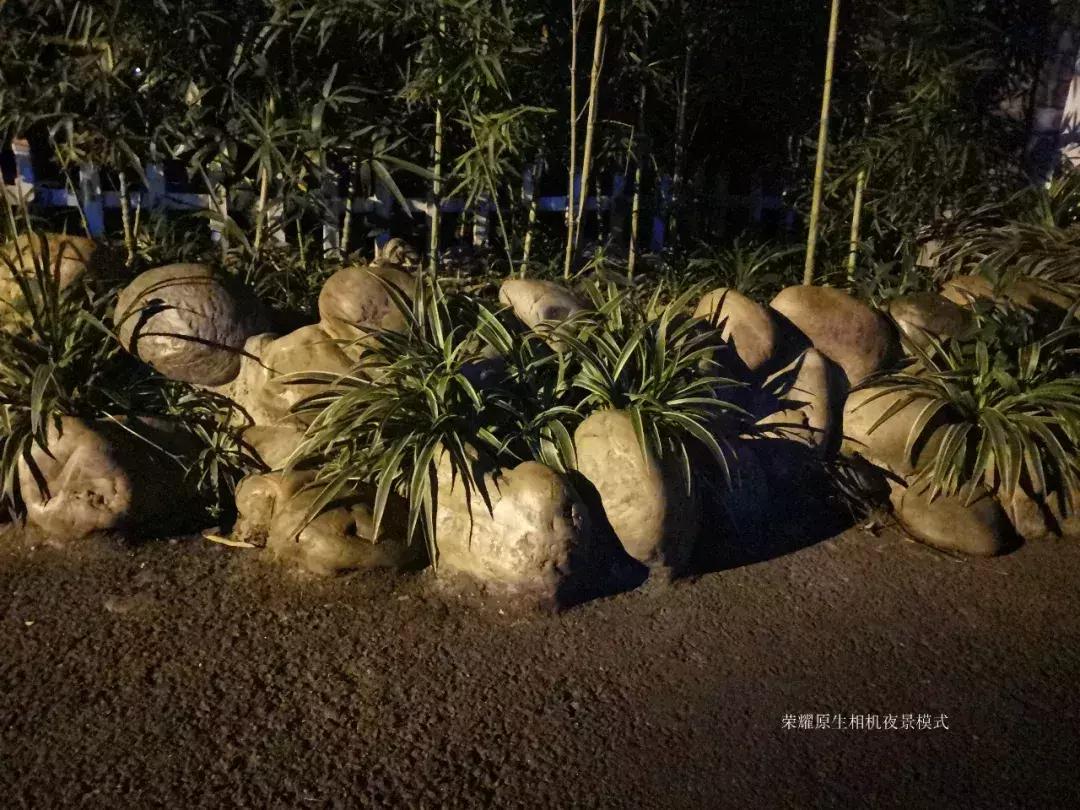 千元机变万元机,千元机拍照堪比苹果