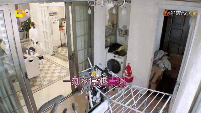 包文婧请保姆,包文婧家政