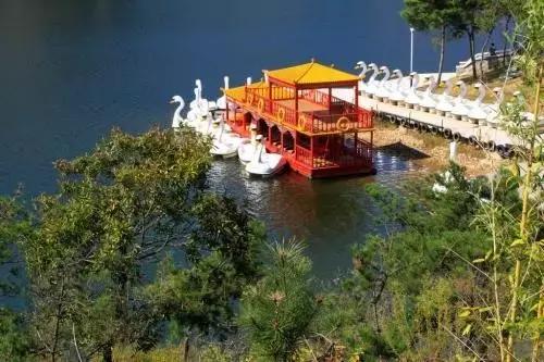 中国31省市实力排前五的大学最全盘点！火速存档！