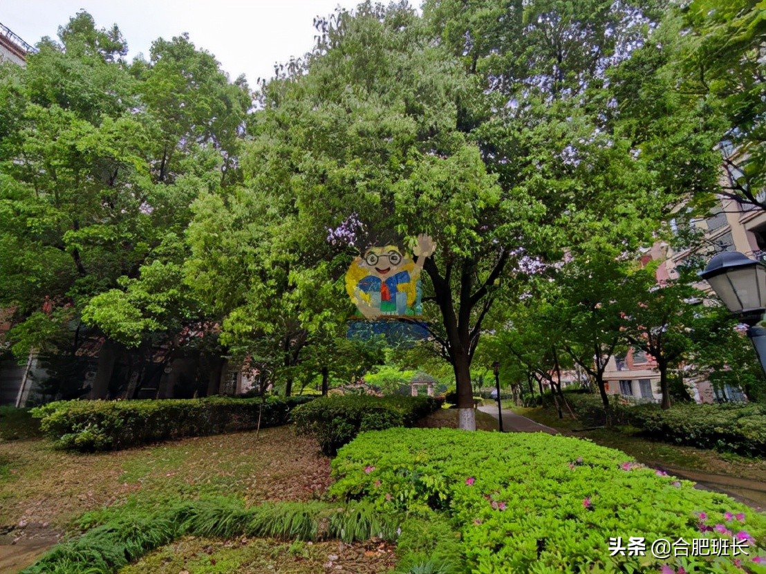 被经开区产证包围的肥西楼盘,实探绿化不错的长安萨尔斯堡