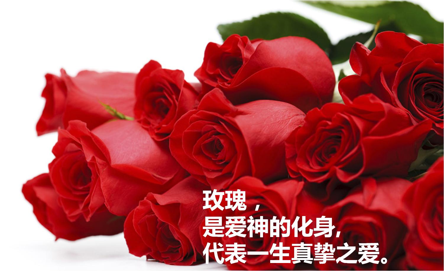 为什么西方的情人节要送巧克力呢,情人节除了花和巧克力还送什么