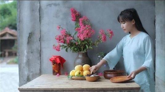 李子柒乡村振兴大使,李子柒乡村文化振兴