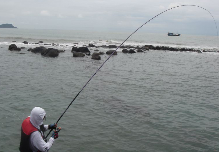 钓了这么久才钓到几条鱼,钓了几年鱼终于钓上来一条