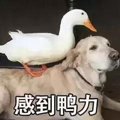 去保险公司听课是骗人的吗 (为什么说保险公司是骗局)