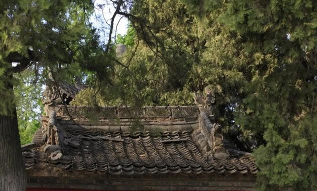 中国县城现状深入调查,中国县城现状原文