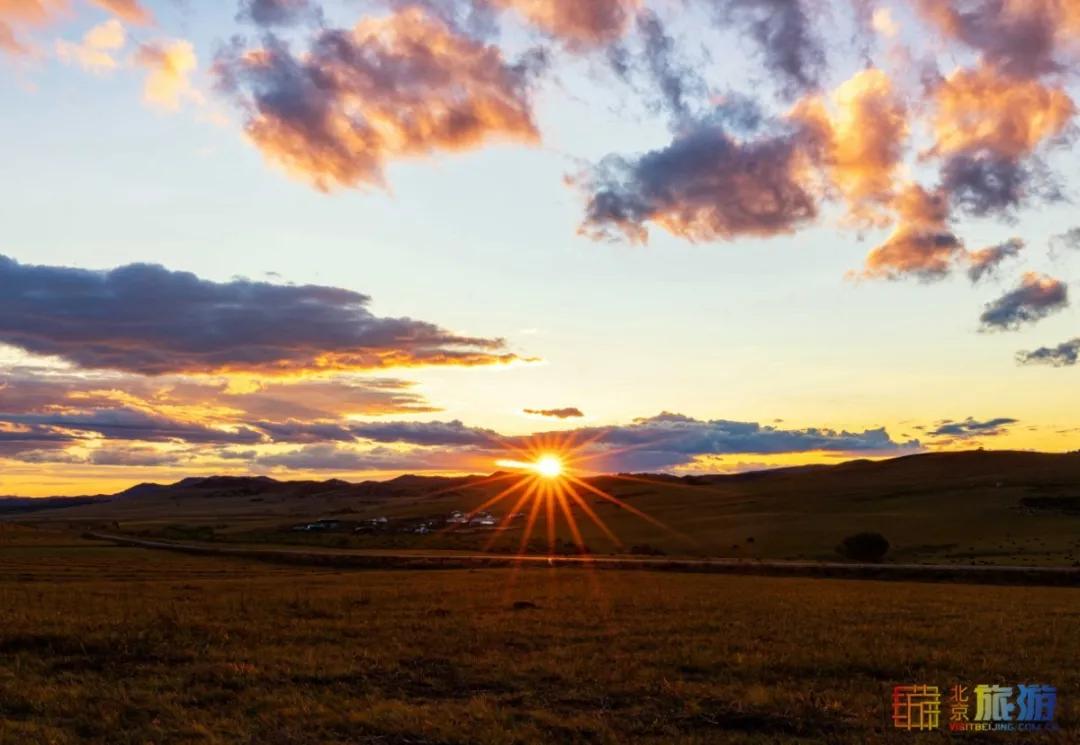 一到秋天，这里就美成了金色天堂！全世界独一份！