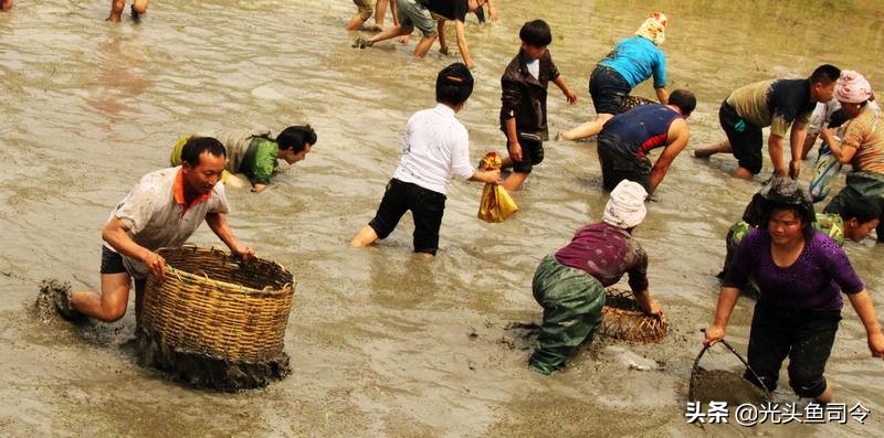 新手钓黄鳝最好用的钩,钓黄鳝的线钩和钓鱼钩的区别