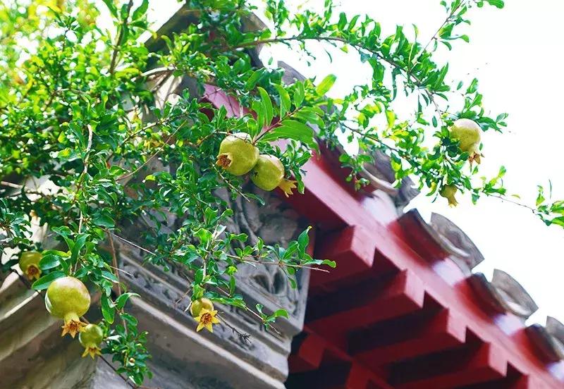 胡同里的日常生活,胡同里的北京生活