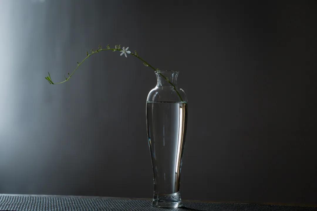 玻璃花器适用于什么花材,简约透明玻璃花器