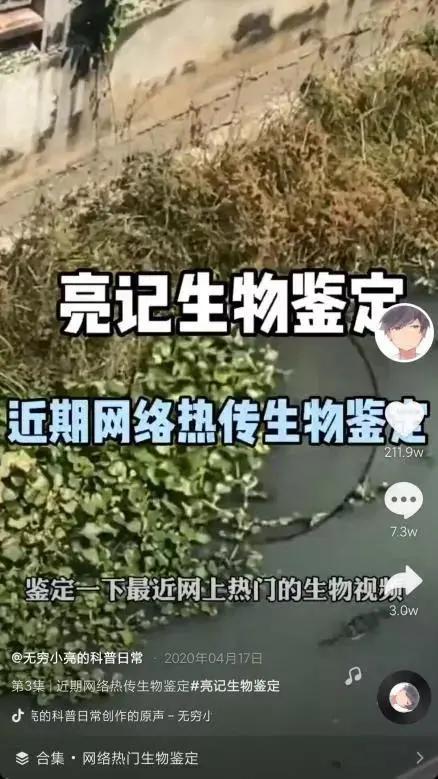 抖音7天吸粉111万，揭秘《无穷小亮》的涨粉科普日常