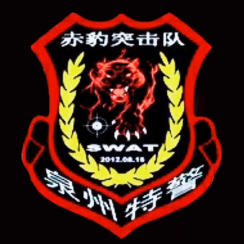 全国各个城市特警队臂章,公安特警帅图