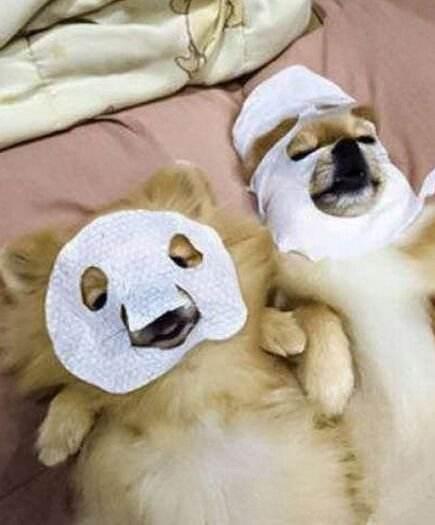 种草海藻深层补水面膜,种草一款超级好用的面膜