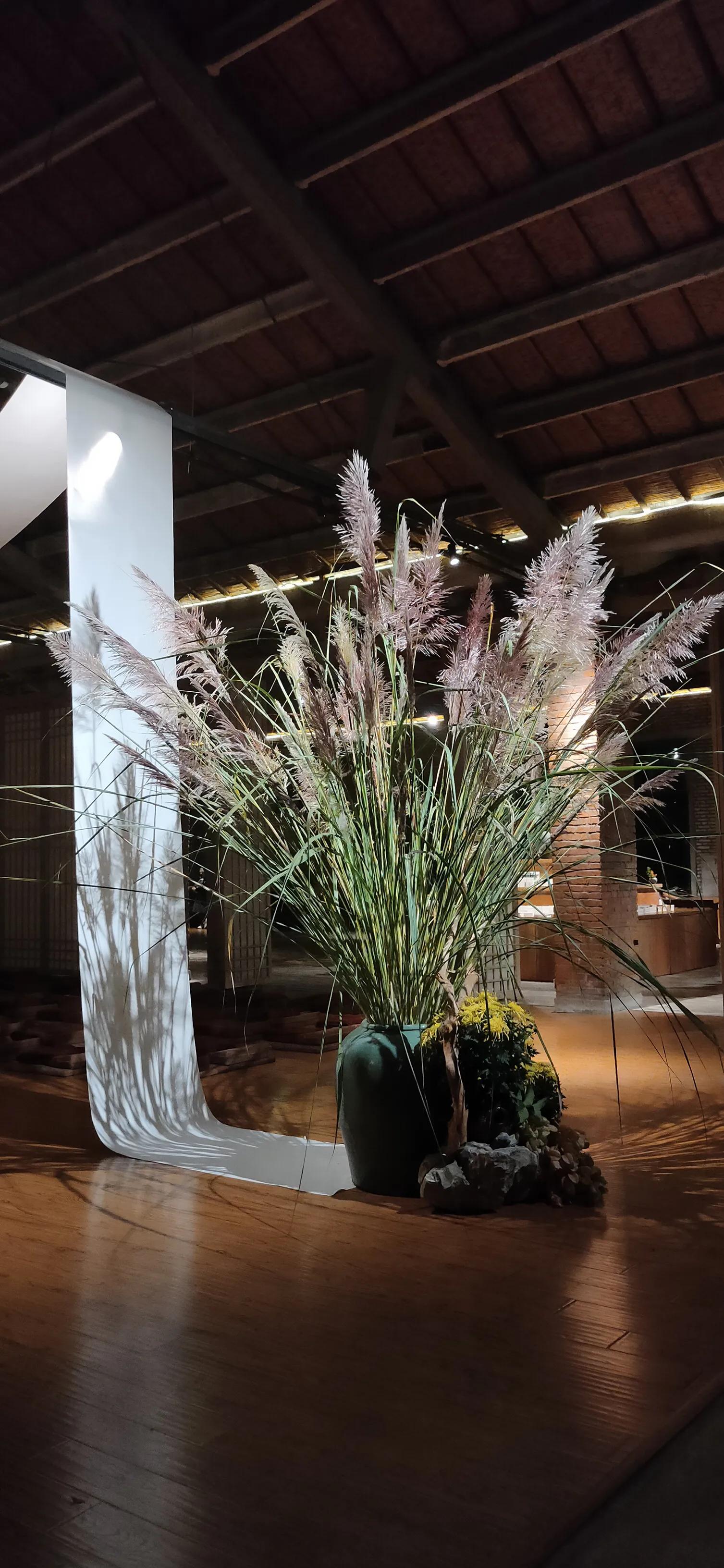 美即是正义是什么梗,美即是医用面膜吗