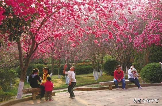 远亲不如近邻反映出什么哲学道理,远亲不如近邻需要注意什么