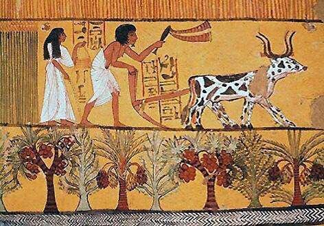 活了三十多年才明白一个道理配音,活了三十年才明白的道理是什么