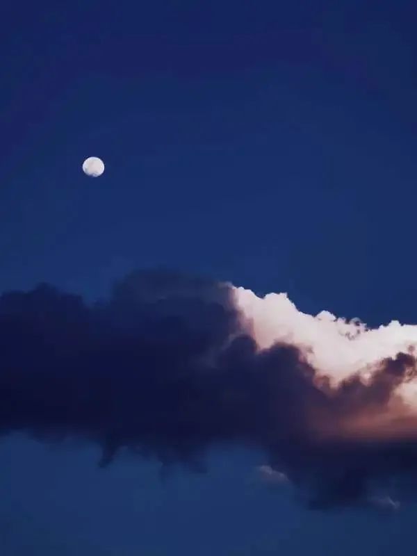 点赞他们的高光时刻,大家用手机拍出过什么好看的照片