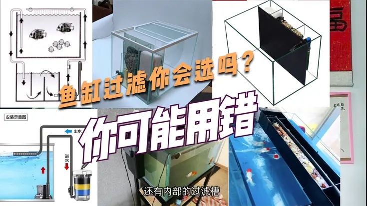 小型鱼缸养金鱼过滤哪种好用,养金鱼鱼缸需要过滤吗