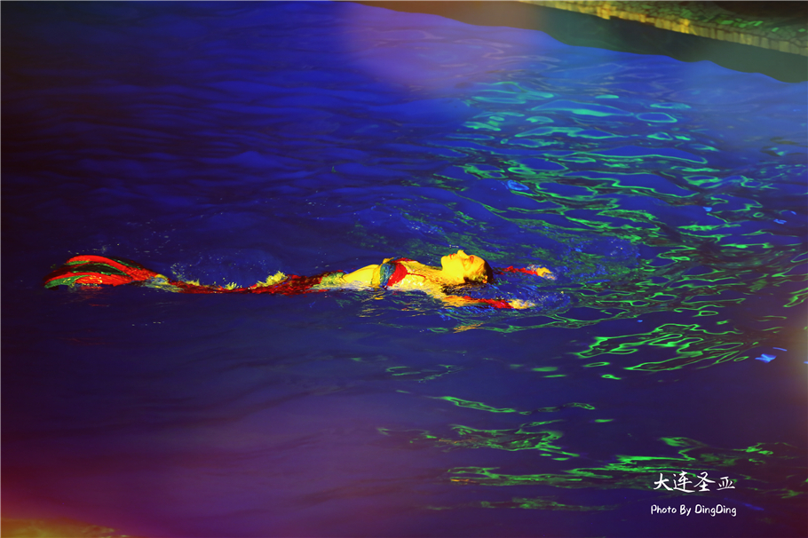 北方明珠活力四射的浪漫之都大连，国内最具特色的海洋世界圣亚