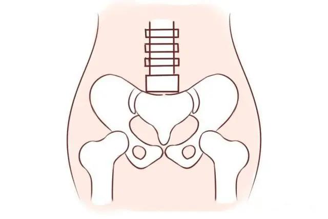 树袋宝宝教你如何预防宝宝蛀牙,树袋宝宝的护理视频