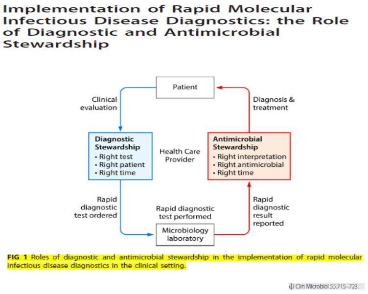 不明原因发热的常见原因及特点,长期不明原因的发热诊治经验