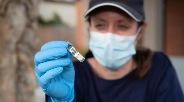 澳大利亚溃疡性结肠炎,澳大利亚皮肤溃疡