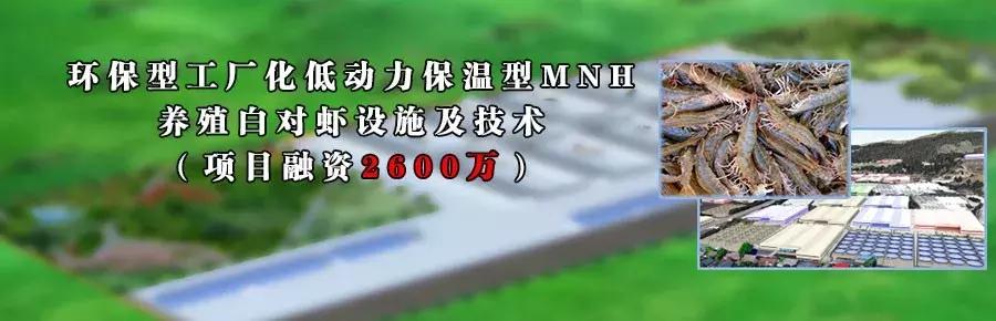 这项技术到底有多牛,一项高科技的运用范围和优缺点