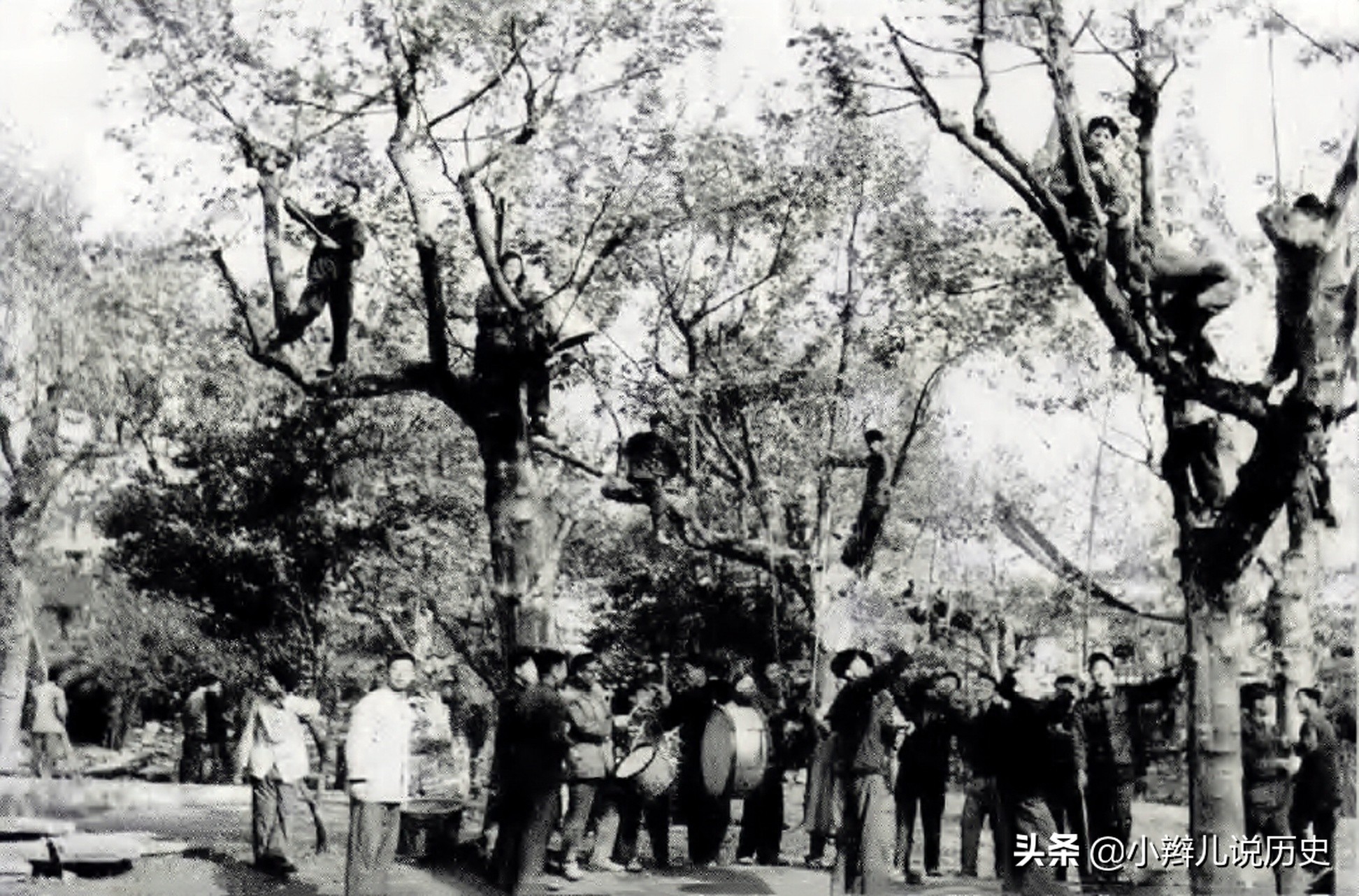 除四害灭老鼠的方法,除四害灭老鼠