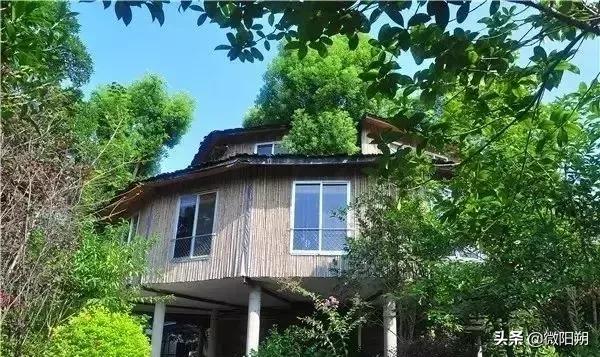 桂林出游农家乐,桂林附近避暑的农家乐