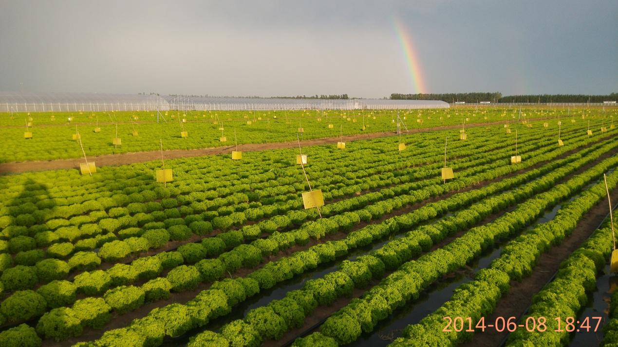 廊坊第二十四届农产品展销会,2024廊坊食品展览会