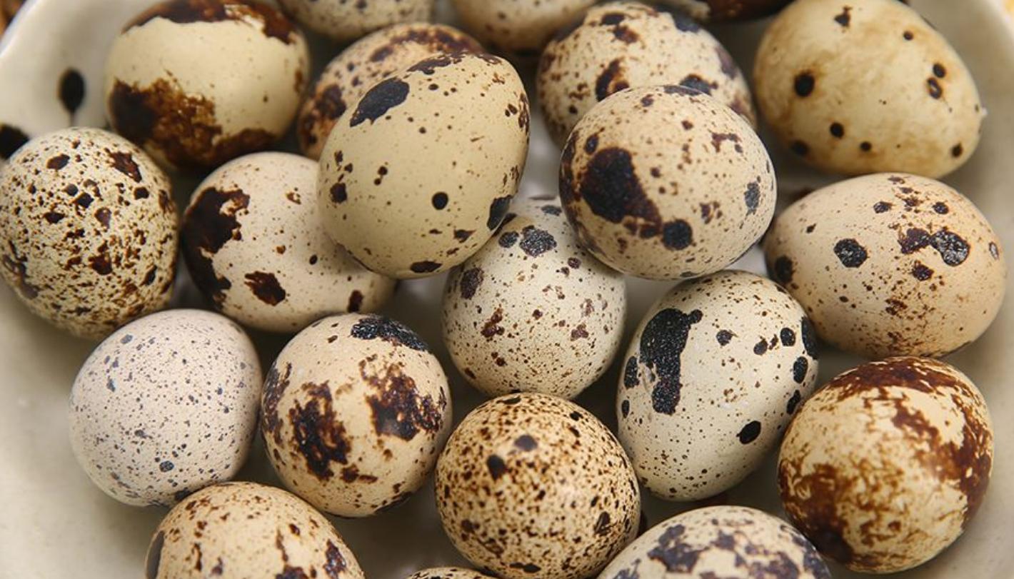 鹌鹑蛋不要剥壳怎样做成菜好吃,鹌鹑蛋不放油怎么做好吃