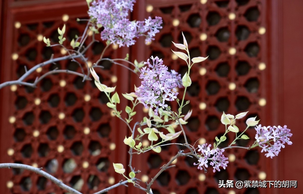寻访京西千年古寺,寻访人间四月天
