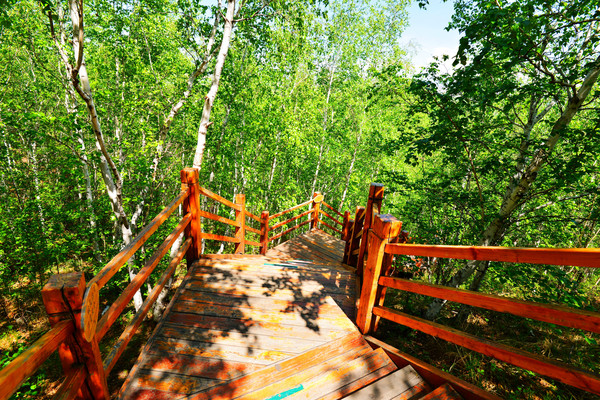 亚洲第一湿地在哪里,内蒙亚洲第一湿地