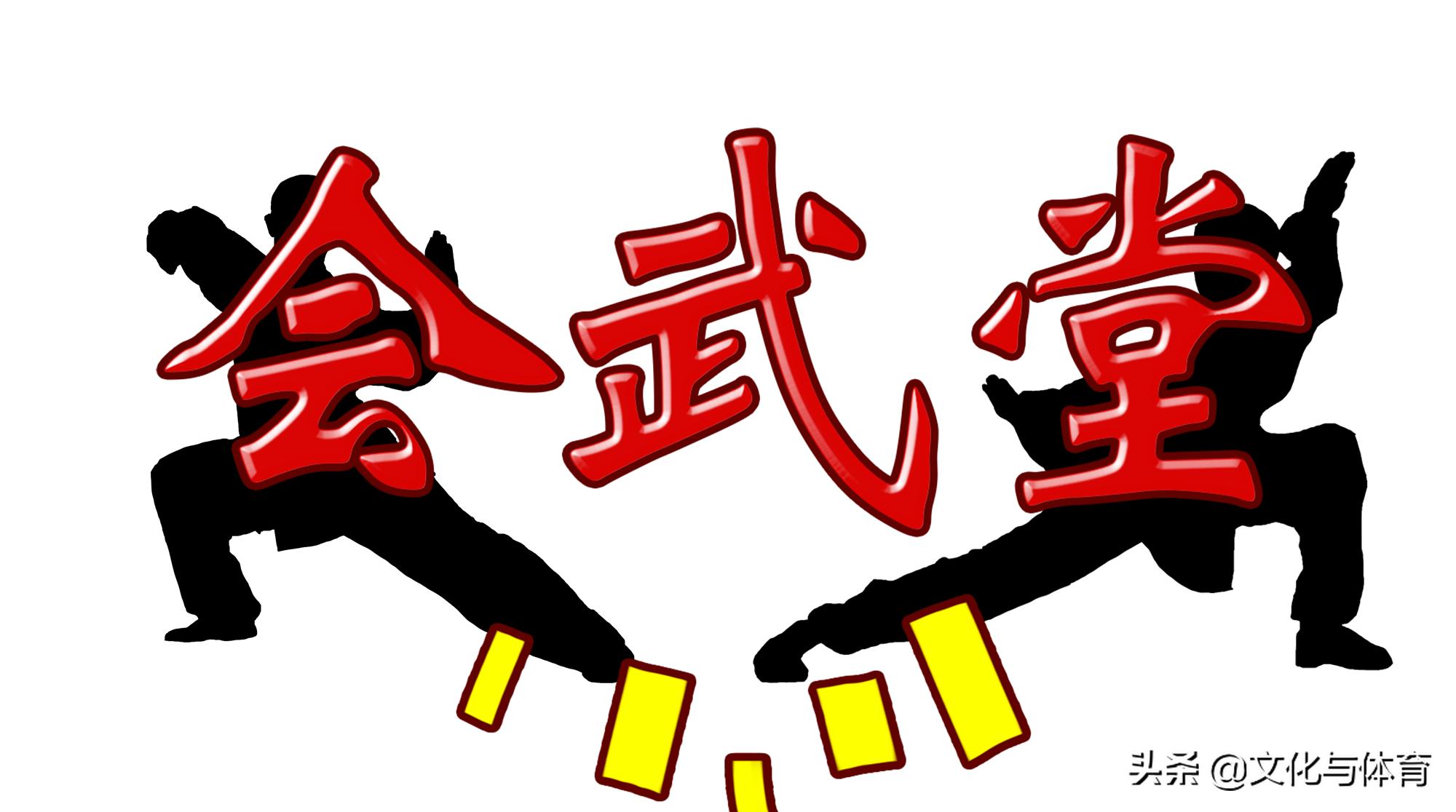 大成拳技击18法,大成拳八拿八打技击术视频