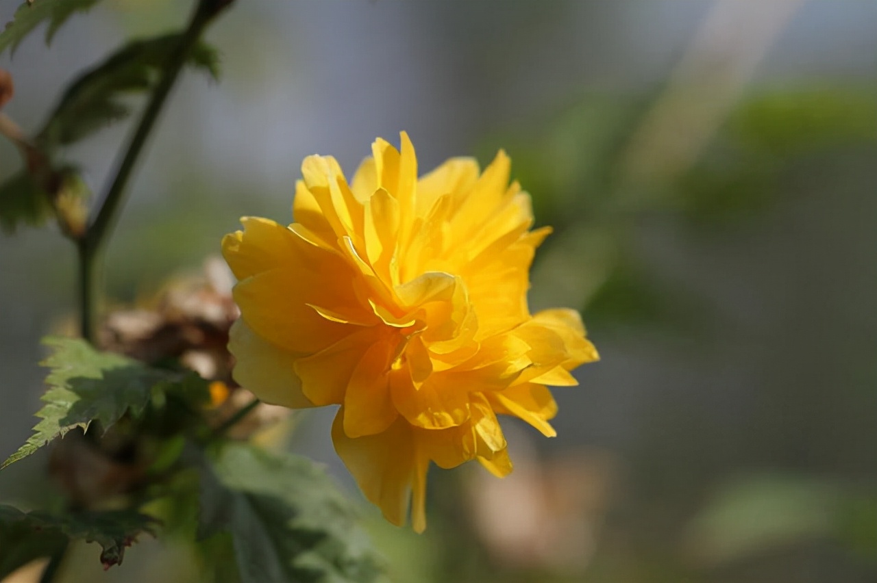 当一个人开始疏远说明什么,当一个人渐渐疏远你